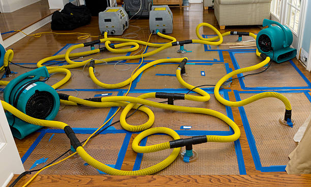 Professional Water Extraction technician working in Henning, TN